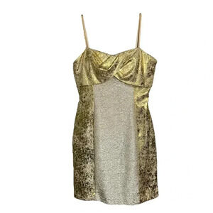 Adrianna Papell Haylie Logan Dress‎ Sliver & Gold Cocktail Party Holiday …